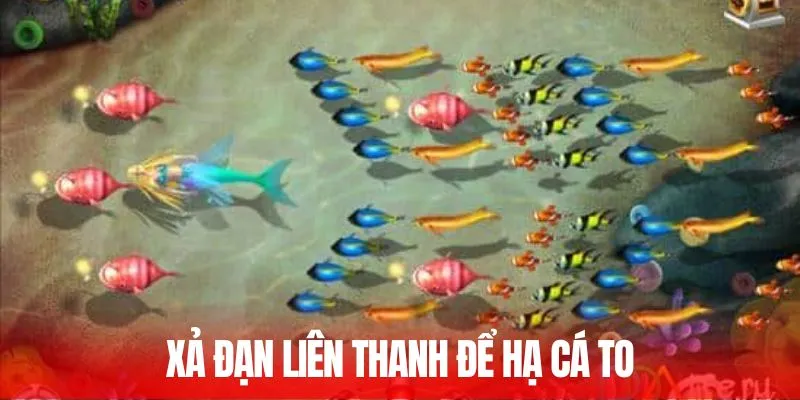 Xả đạn liên thanh để hạ cá to